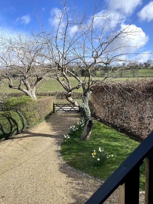 Little Studio Annexe Marlow  Exteriér fotografie